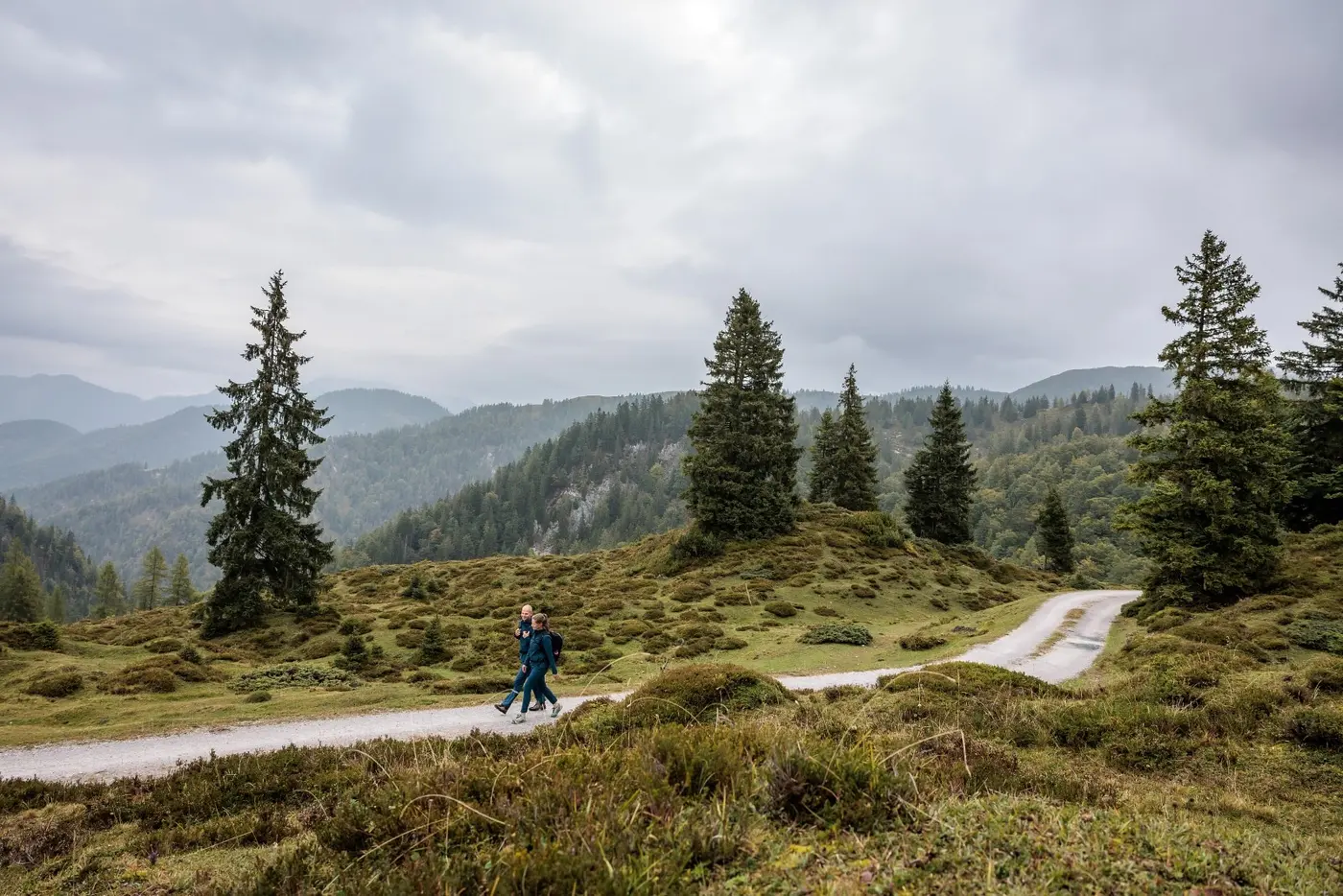 Wanderung zur Lämmerbichlalm